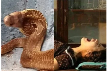 பௌர்ணமியில் பெண்ணின் பிரசவத்தில் நாகப்பாம்பு வெளிவருமா? அதிர்ந்து போன கிராமவாசிகள்...நடந்தது என்ன?