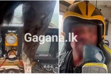 ඉහළ අහසේදී ගුවන් යානයේ කුරුල්ලෙකු ගැටී නියමු කුටියට කඩා වදී - වීඩියෝ සහිතයි..(VIDEO)