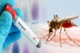 டெங்கு நோய் தொடர்பில் பொதுமக்களுக்கு விடுக்கப்பட்டுள்ள எச்சரிக்கை