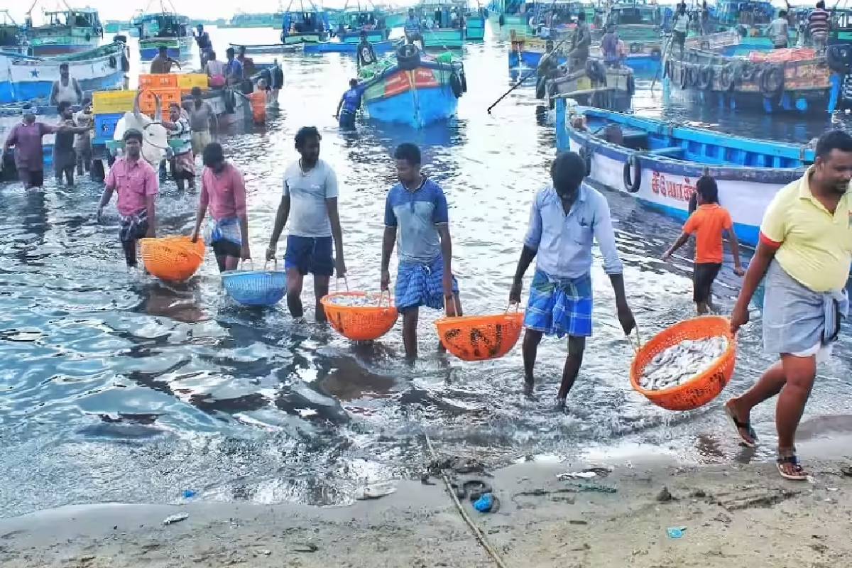 யாழ்ப்பாண கடற்றொழிலாளர்களுக்கு 3000 ரூபாய் அபராதம்..! சர்ச்சை தொடர்பில் வெளியான தகவல் | Fishermen Who Do Not Participate National People