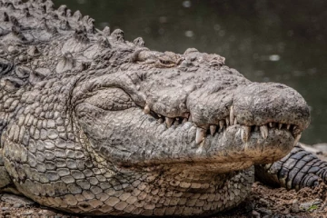 මේ පැතිවල ජනතාවට අනතුරු ඇගවීමක් - ප්‍රවේශම් වෙන්න