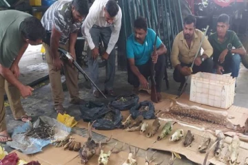 காட்டு விலங்குகளை வேட்டையாடி இறைச்சி விற்பனையில் ஈடுப்பட்டவர் சிக்கினர்!