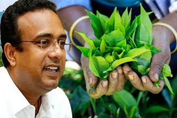 பசியில் வாடும் தோட்ட மக்களுக்கு வெளிநாட்டு வேலைவாய்ப்பு அமைச்சின் புதிய திட்டம்