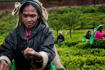 தோட்டத் தொழிலாளர்களுக்கும் காணி