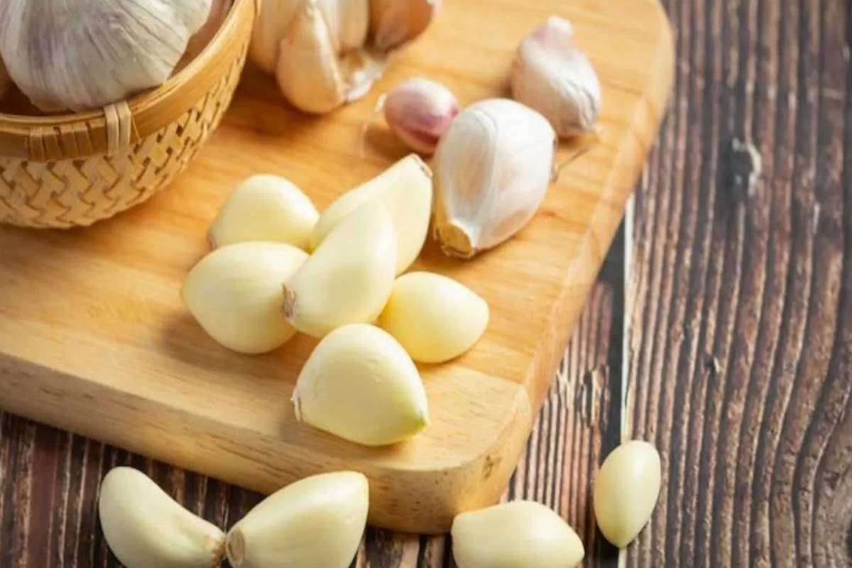 தினமும் காலையில் 1 பல் பூண்டு சாப்பிடுவதால் இத்தனை நன்மைகளா? | Benefits Of Eating One Clove Garlic Every Morning