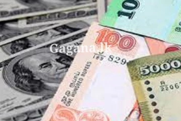 මෙරට බැංකු කිහිපයක අද ඩොලරයට ලබා දුන්න වටිනාකම සටහන් වුණේ මෙහෙමයි..(PHOTOS)