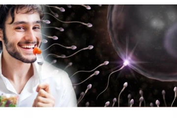 ஆண்களின் விந்தணுக்களின் எண்ணிக்கையை பெருக்க இந்த உணவுகளை சாப்பிட்டு வந்தாலே போதும்!