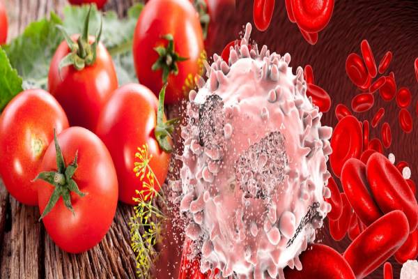 புற்றுநோயை எதிர்த்து போராடும் தக்காளி சட்னி... இனி இப்படி செய்து சாப்பிடுங்க | Tasty Tomato Chutney Recepe And Health Benefits