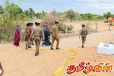 மூதூர் - சம்பூர் பகுதியில் காணப்பட்ட மனித எச்சங்கள்! நீதிபதியின் உத்தரவு