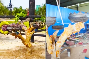 றீ(ச்)ஷா பசுமை பண்ணையில் மரத்தினால் உருவாக்கப்பட்டுள்ள கலைப்படைப்பு (Video)