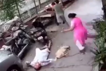 சுருண்டு விழுந்த நாய்! பதற வைக்கும் CCTV காட்சிகள் - என்ன நடந்தது தெரியுமா?