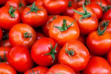 ஆப்பிள் இடத்தை பிடித்த தக்காளி!