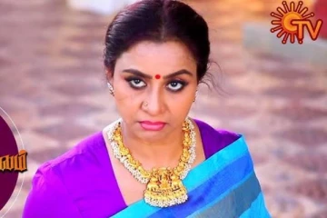 மீண்டும் சன் டிவி சீரியலில் என்ட்ரி கொடுத்த பாண்டவர் இல்லம் சீரியல் வேதநாயகி... எந்த தொடர்?