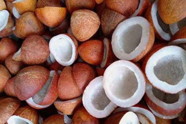 காலையில் வெறும் வயிற்றில் தேங்காய் சாப்பிட்டால் என்ன நடக்கும் தெரியுமா? | Benefits Of Eating Coconut In Empty Stomach