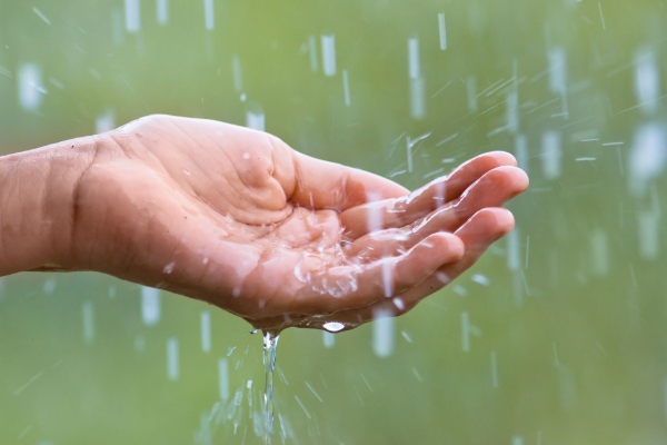 நாளை முதல் நாடு முழுவதும் அதிகரிக்கப்போகும் மழை.. வெளியான தகவல் | Rain To Increase Across The Country From Tomorrow நாளை முதல் நாடு முழுவதும் அதிகரிக்கப்போகும் மழை.. வெளியான தகவல் | Rain To Increase Across The Country From Tomorrow