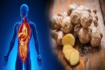 யாரெல்லாம் இஞ்சி சாப்பிடவே கூடாதுன்னு தெரியுமா?