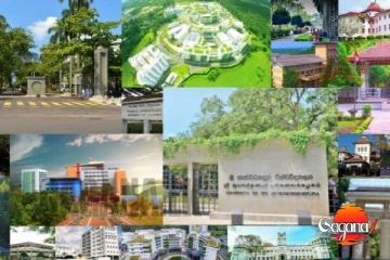 සරසවි වල නැවතුනු වැඩට යළි පණ