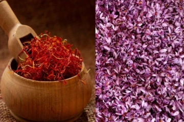 உலகிலேயே மிகவும் விலையுயர்ந்த பூ பற்றி உங்களுக்குத் தெரியுமா