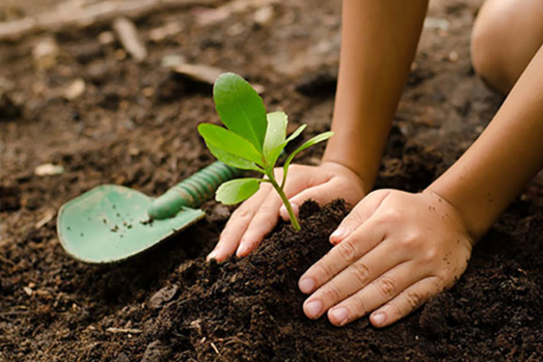 தமிழ்த்தேசியத்தின் ஆன்மாவை குளிரச்செய்யும் கார்த்திகை மாத மரநடுகை : ஐங்கரநேசன் பகிரங்கம் | Tree Planting In November P Ayngaranesan Statement தமிழ்த்தேசியத்தின் ஆன்மாவை குளிரச்செய்யும் கார்த்திகை மாத மரநடுகை : ஐங்கரநேசன் பகிரங்கம் | Tree Planting In November P Ayngaranesan Statement