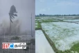 இலங்கையில் ஏற்பட்ட பேரழிவு : ஆரம்பமானது மதிப்பீட்டு பணி