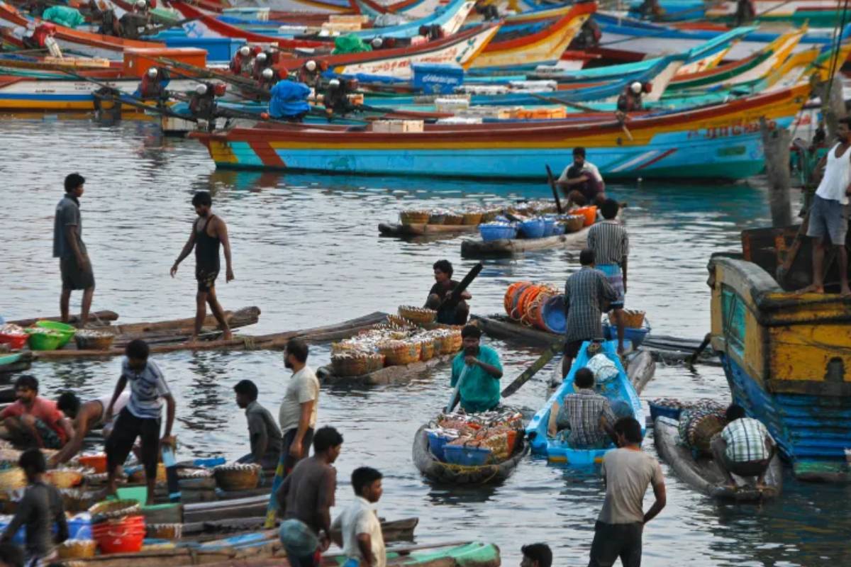 தமிழகத்தின் புதிய முதலமைச்சர் விஜய்க்கு அமைச்சர் சந்திரசேகரின் முக்கிய கோரிக்கை | Legal Action Against Illegal Fishing Ramalingam