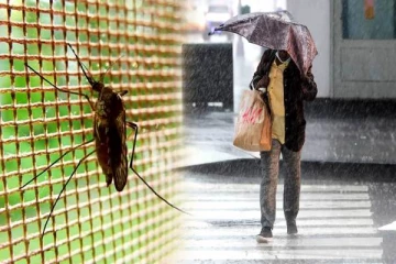 மழைக்காலத்தில் வரும் கொசுக்களுக்கு இது தான் தீர்வு- நீங்களும் செய்து பாருங்க