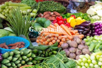 මේ තරම් නැග්ග නැගිල්ලක් කවදාවත් මතක නෑ.. - ඇහෙද්දිත් ඇඟ හිරිවැටෙන එළවළු මිලේ සැර..