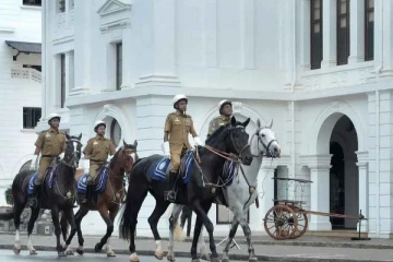 இலங்கை பொலிஸாரிடமுள்ள குதிரைகள் திடீரென உயிரிழப்பு