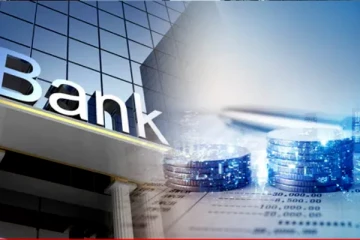 இலங்கையில் இரு புதிய வங்கிகள் குறித்து முன்வைக்கப்பட்டுள்ள யோசனை