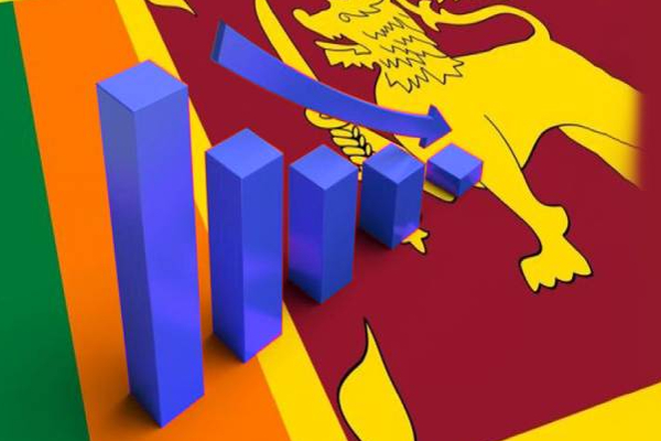 இலங்கையில் சாதிக்காயின் விலையில் பாரியளவில் வீழ்ச்சி | Massive Fall In The Price Of Sri Lankan Rice
