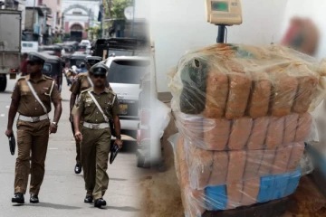 யாழில் பல மில்லியன் ரூபா பெறுமதி வாய்ந்த கஞ்சா மீட்பு