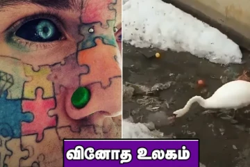 மனித முகம் பிடிக்காமல் இளைஞர் செய்த வினோதம்! பிளாஸ்டிக்கை சுத்தம் செய்யும் அன்னப்பறவை.. வினோத உலகம்