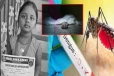 Dengue: டெங்கு காய்ச்சலால் பாதிக்கப்பட்ட 4 வயது சிறுமி பரிதாபமாக உயிரிழந்த சோகம்!