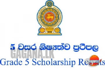 මෙච්චර ඉක්මනට ශිෂ්‍යත්ව ප්‍රතිඵල?ප්‍රතිඵල එන දිනය මෙන්න