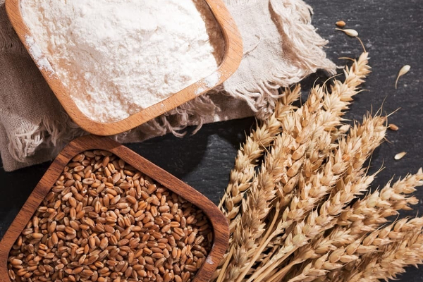 கோதுமை மா தொடர்பில் வெளியான அதிர்ச்சி தகவல்! | Shocking Information About Wheat Ma