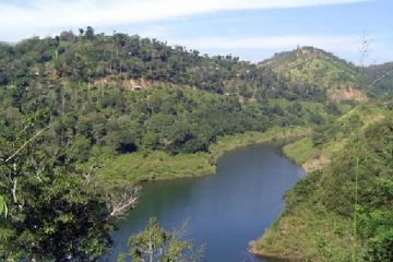 மஹாவலி கங்கையில் பரிதாபமாக உயிரிழந்த இரு பிள்ளைகளின் தந்தை