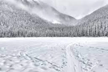 காலநிலை மாற்றத்தால் பூமியில் உருகும் பனி