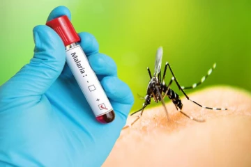 நாட்டில் இனங்காணப்பட்டுள்ள மலேரியா நோயாளர்கள்