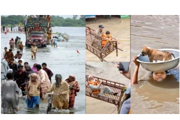 பாகிஸ்தானில் தேசிய அவசரநிலை பிரகடனம் - இதுவரை 937 பேர் பலி