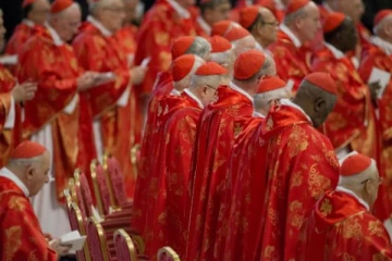 15 நாட்களில் புதிய போப்; வெள்ளை புகை புதியவர் வரவை அறிவிக்கும்