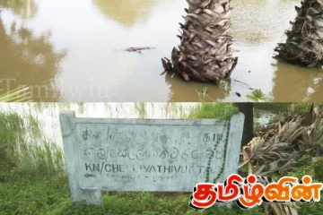 கிளிநொச்சியில் முதியவர் ஒருவரின் சடலம் மீட்பு