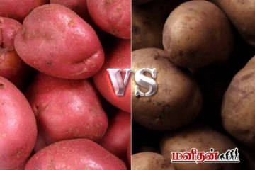 சிவப்பு அல்லது வெள்ளை இந்த இரண்டு உருளைக்கிழங்கில் எது அதிக நன்மை தரும்?