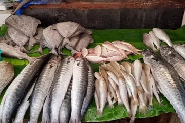 மீன்களின் விலையை குறைக்க முடியாது
