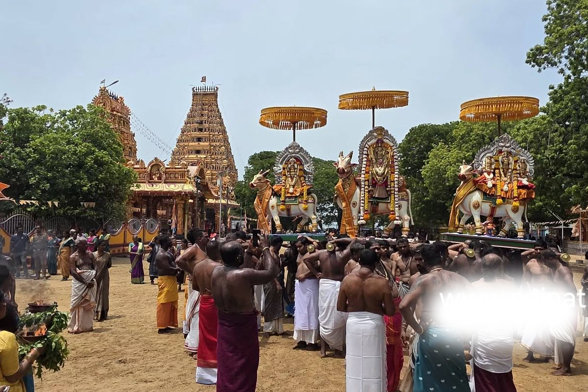 நயினாதீவில் இரவு நேரங்களில் தொடர் மின்வெட்டு; அவதியில் பக்தர்கள்! | Frequent Night Time Power Cuts In Nainativu
