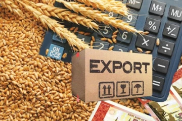 உலக நாடுகளுக்கு ஏற்றுமதியாகும் இந்திய கோதுமை: உக்ரைன் நிலைகுறித்து ஐ.நாவில் கவலை!