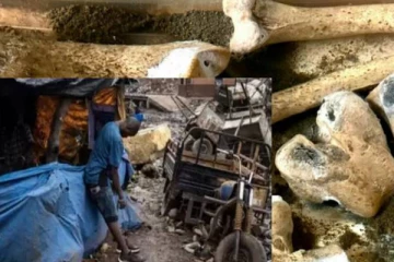 போதைக்கு அடிமையாகி பிணங்களைத் தேடித் திரியும் கும்பல்! எங்கு தெரியுமா?