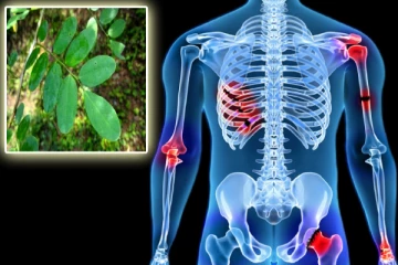 எலும்பு சம்பந்தப்பட்ட பிரச்சனைக்கு நிரந்தர தீர்வாகும் இலை- எப்படி-ன்னு தெரியுமா?