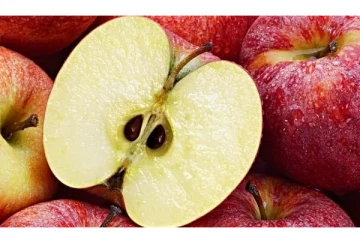 இந்த 7 உணவுகளை உங்கள் தினசரி வாழ்வில் சேர்த்துக் கொள்ளுங்கள் : புற்றுநோய் வராதாம்!!