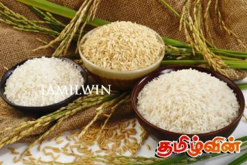 அரிசிக்கான கட்டுப்பாட்டு விலையை நீக்குவது குறித்து பேச்சுவார்த்தை