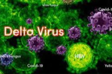 அடுத்த வைரசின் ஆட்டம் - டெல்டா வைரஸால் மீண்டும் முகக்கவசம் கட்டாயம்!